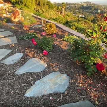 Xeriscape & Native Garden with Waterfall