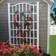 Landscape Ideas