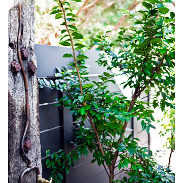Photographer Luc Remond | Pearl Beach House