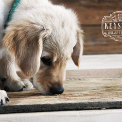 Dog Bowl Holders - Products