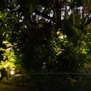 Garden Santuary Landscape Renovation