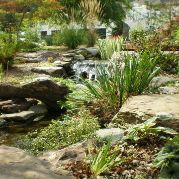 Hartford Co. - Natural Stream & Pond