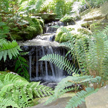 Lake Waterfall Ideas