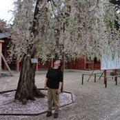Junko Abe's photo