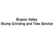 Brazos Valley Support News Thebatt Com