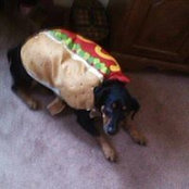 Stacy Kittler's photo