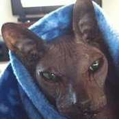 Heather Tullar's photo