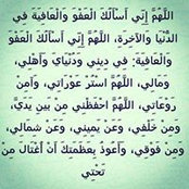 Dina Hamdi's photo