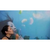 Jinhee Joe's photo