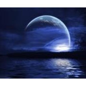 Kimberly Williams's photo