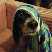 Norbert Rougeries foto