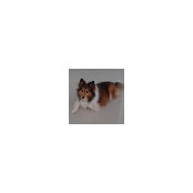 Rachel's photo