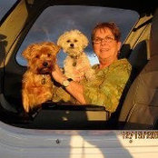 Mary Freeman Falkner's photo