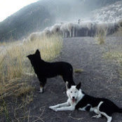 Madeleine Little's photo