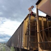 Thomas Firth's photo