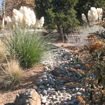 Riverbeds