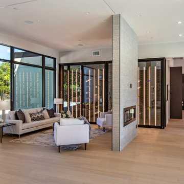 Panoramic Doors