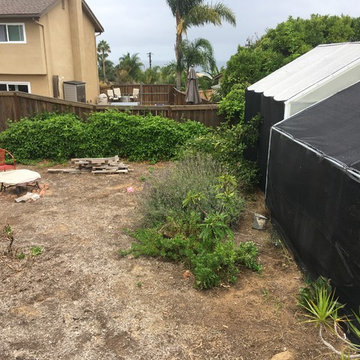 Solana Beach Modern Eclectic Landscape Redesign