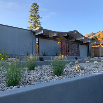 San Rafael Eichler Front and Back Yard Remodel