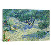 "Olive Orchard" Wrapped Canvas Art Print, 18x12x1.5