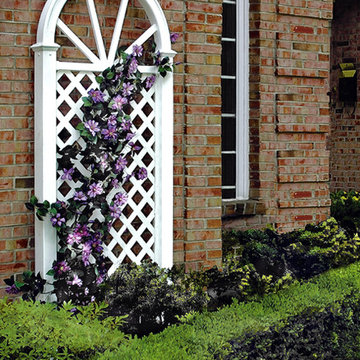 Trellises