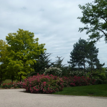 CREATION D'UNE ROSERAIRE