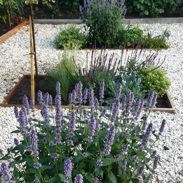 Perennial front gravel garden scheme