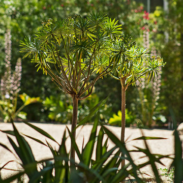 New 1-Year-Old Garden
