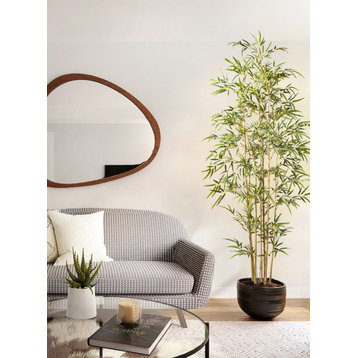 Serene Spaces Living Bamboo Tree, Real Looking Tree for Decoration, 6'