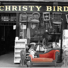 Christy Bird & Co