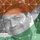 Vikas Goel