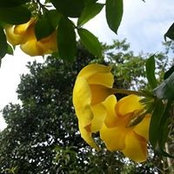 Khiem Nd's photo