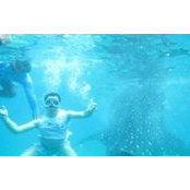 Gilbert Taghap's photo