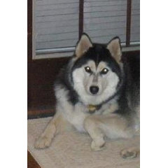 DataFX