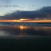 Shannon Quicks foto