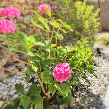 Terrasse paysagée