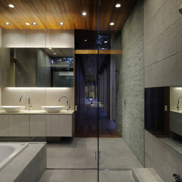 House IC