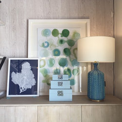 Blu Home Showroom - Products
