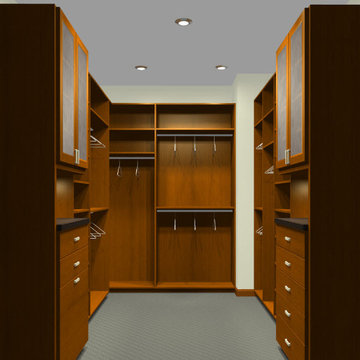 3D renderings