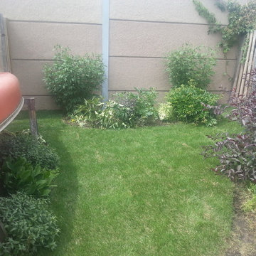2014 Sodding After Pictures