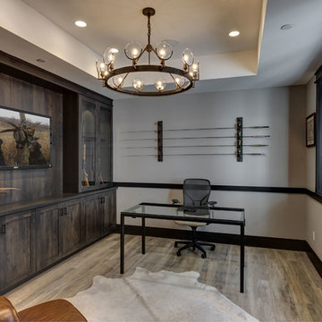Basement Office and Gun Case