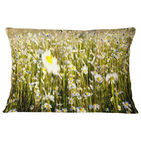 Wild Chamomile Flowers Field Flower Throw Pillow, 12"x20"