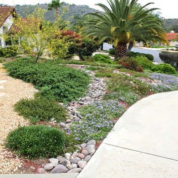 Rain Harvesting Landscape - Front Yard - Poway, CA