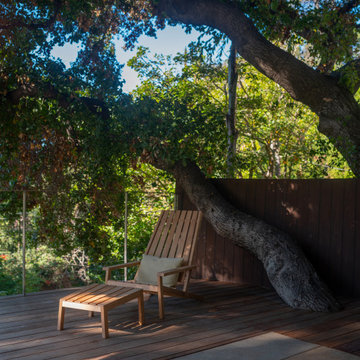 Hollywood Hills Outdoor Lounge Area Beneath Mature Trees