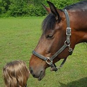 Alaina Koppsch's photo