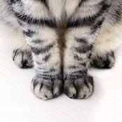 Kelsey Elledge's photo