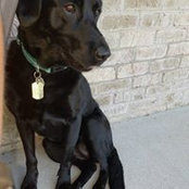 Cassie Coenen Wied's photo