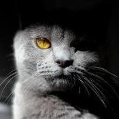 Foto von Rini Boo