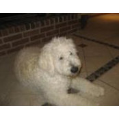 Jill Dunning's photo