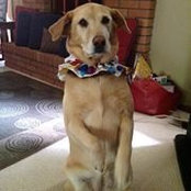 Jeanne Thompson's photo